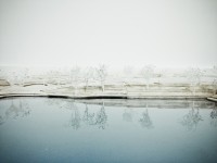 http://www.chapissoccer.com/files/gimgs/th-14_trees-3.jpg